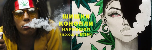 трава Костерёво
