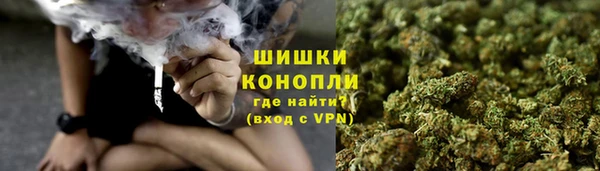 трава Костерёво